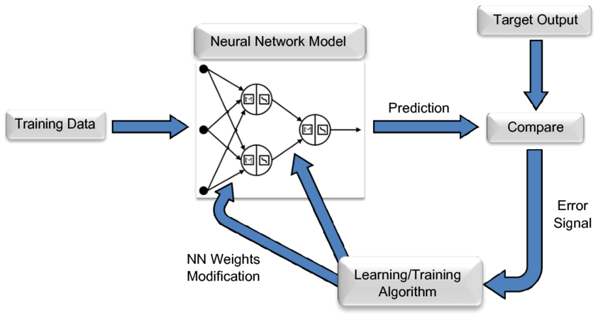 Training a Neural Network